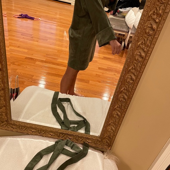 Olive Green Velvet Mini Dress - Picture 3 of 4